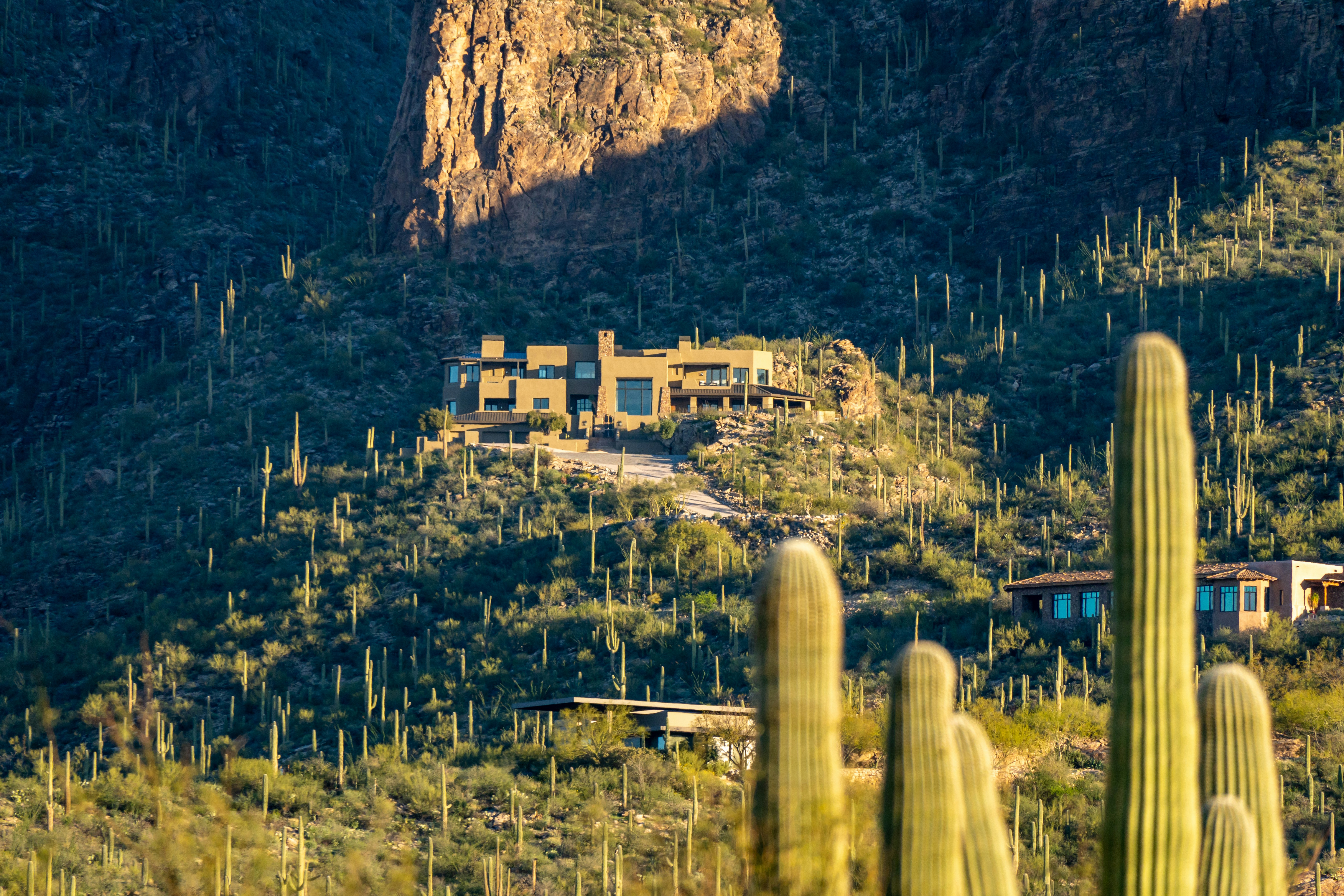Phoenix: desert Southwest residential landscape