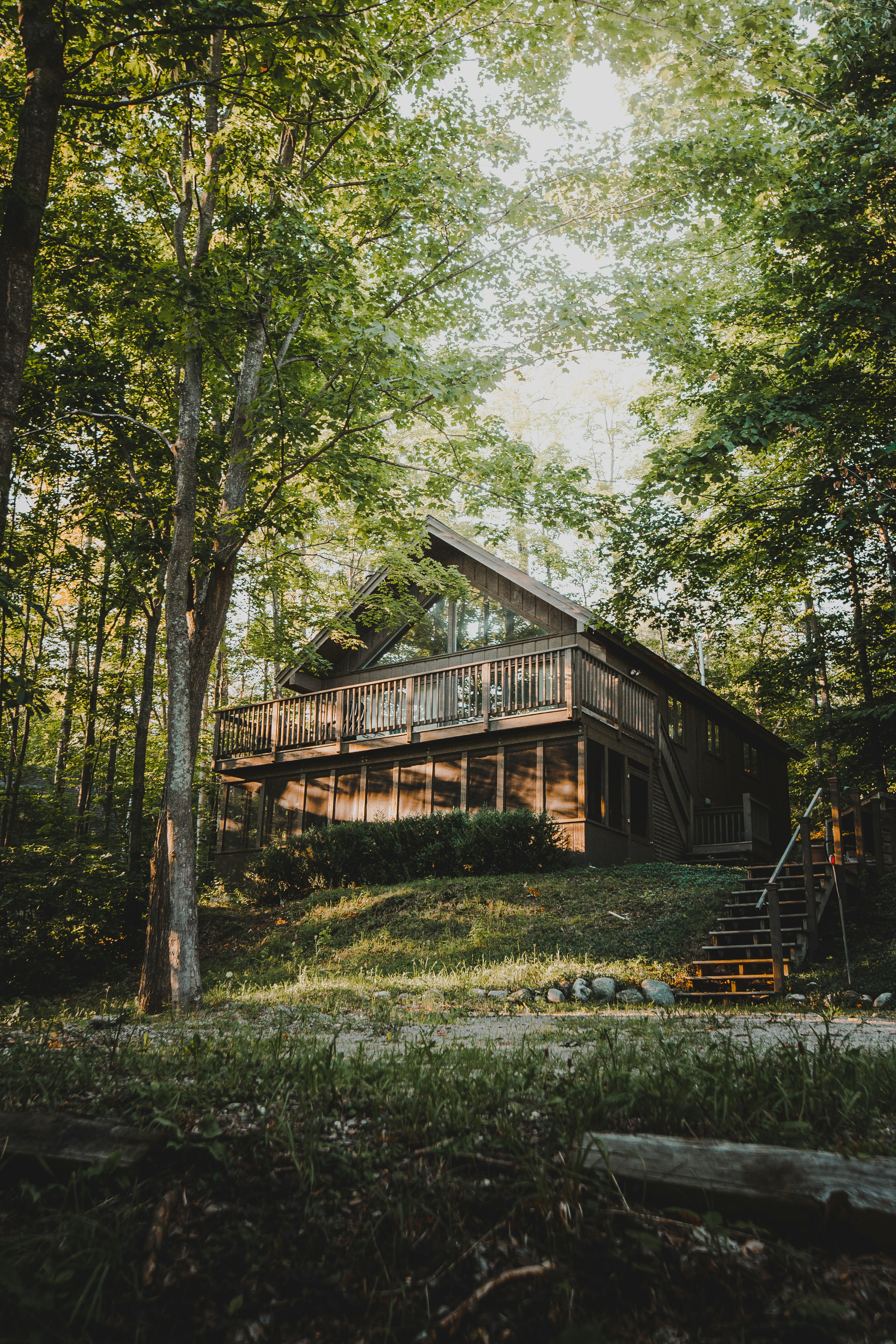 Portland: forest house exterior